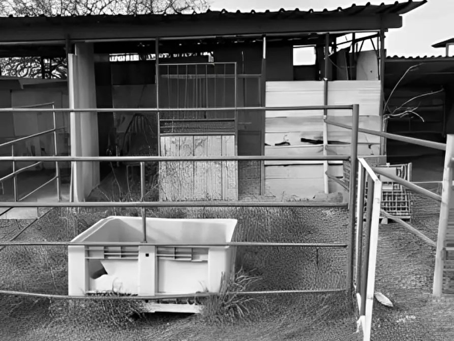 Immagine 2 di Attività commerciale in vendita  in fraz. Sostegno via Pavia a Torre De' Negri