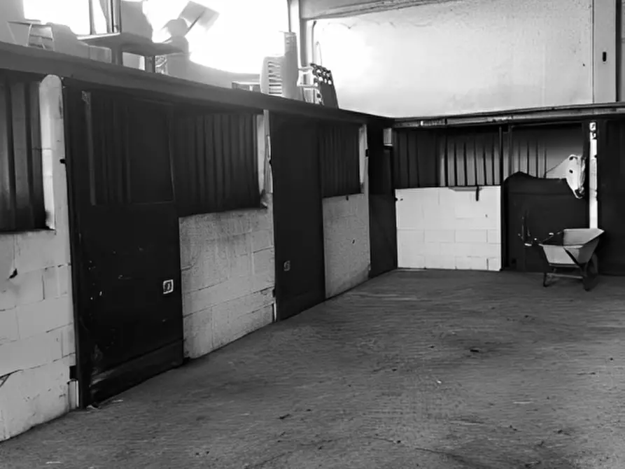 Immagine 4 di Attività commerciale in vendita  in fraz. Sostegno via Pavia a Torre De' Negri