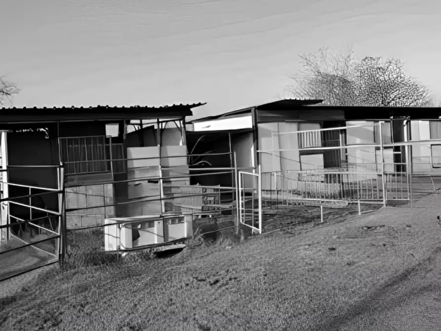 Immagine 7 di Attività commerciale in vendita  in fraz. Sostegno via Pavia a Torre De' Negri