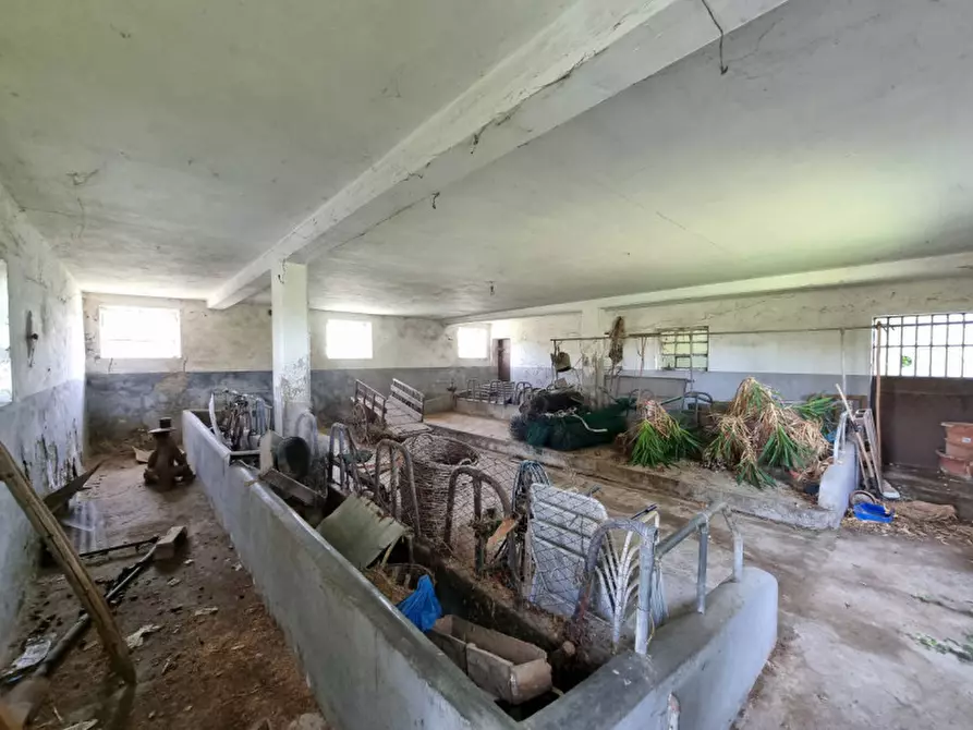 Immagine 33 di Casa indipendente in vendita  in via 28 aprile a Vo