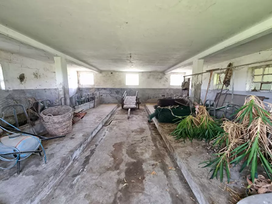 Immagine 34 di Casa indipendente in vendita  in via 28 aprile a Vo