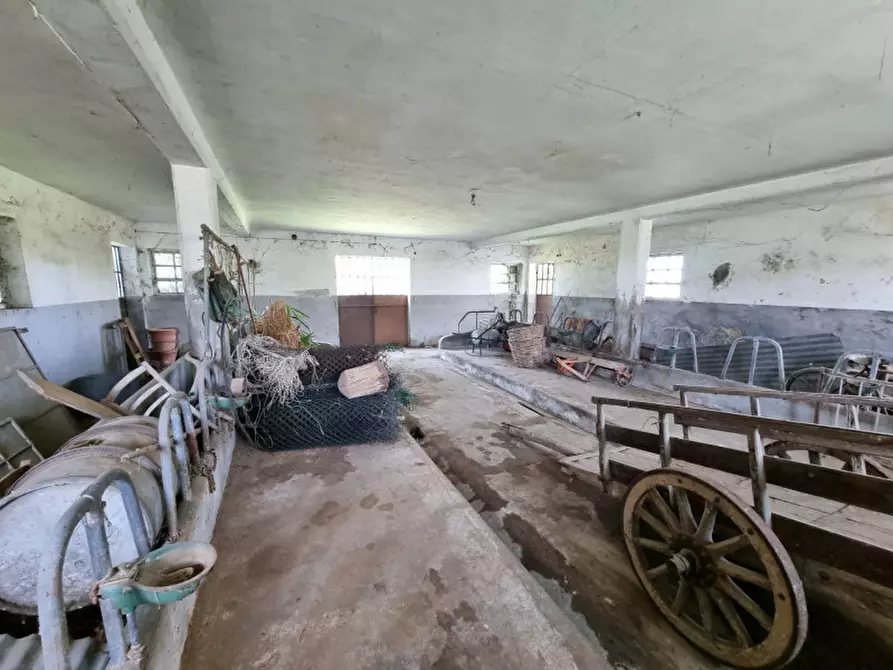 Immagine 35 di Casa indipendente in vendita  in via 28 aprile a Vo