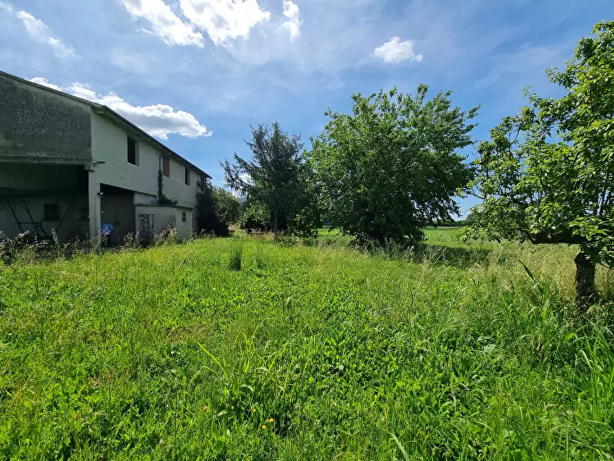 Immagine 40 di Casa indipendente in vendita  in via 28 aprile a Vo