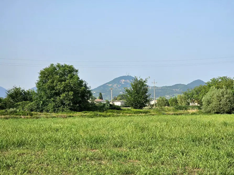 Immagine 6 di Terreno in vendita  in Via Madonnetta a Ospedaletto Euganeo