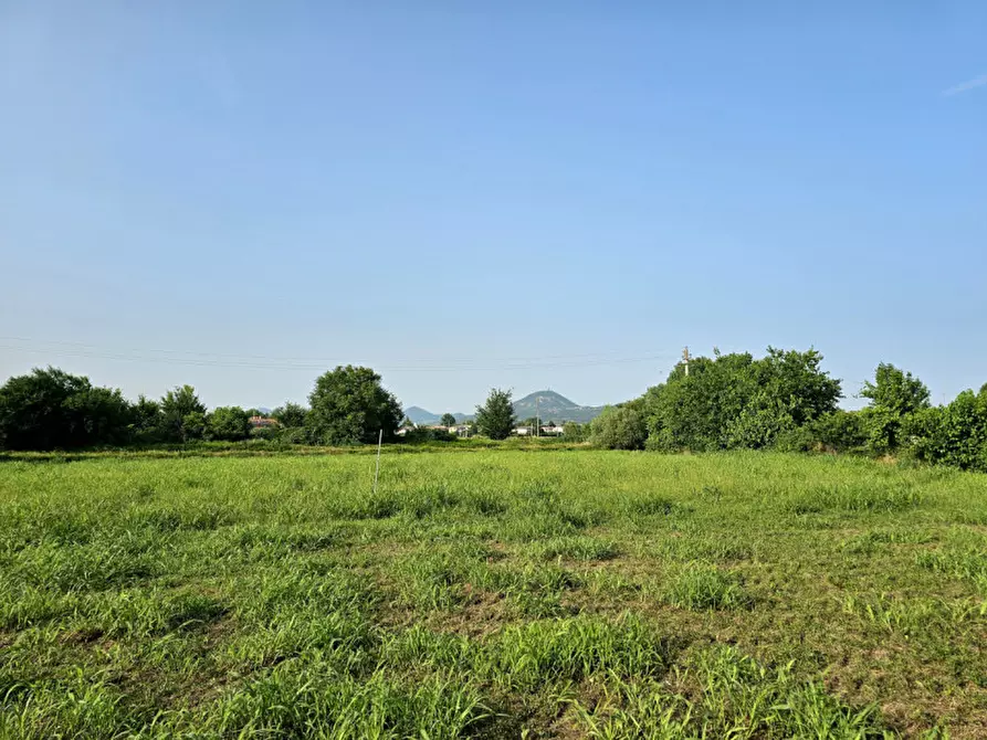 Immagine 7 di Terreno in vendita  in Via Madonnetta a Ospedaletto Euganeo