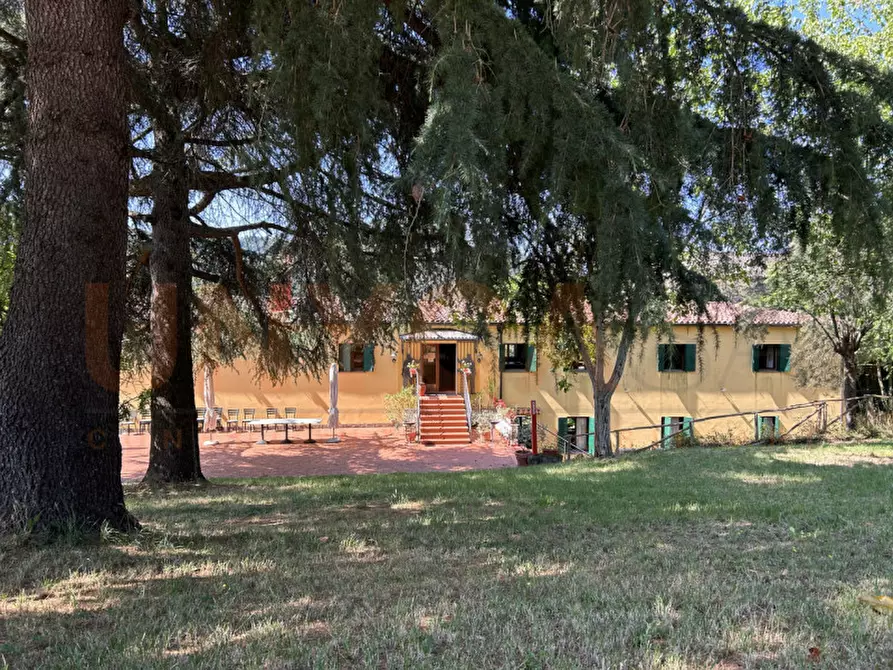 Immagine 1 di Agriturismo in vendita  a Cinto Euganeo