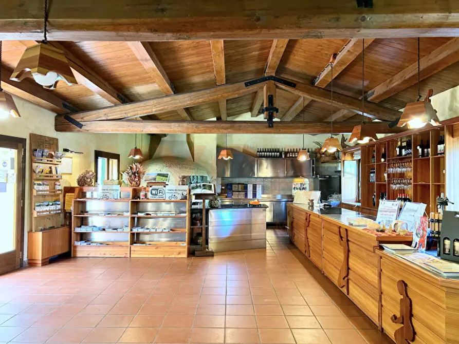 Immagine 3 di Agriturismo in vendita  a Cinto Euganeo