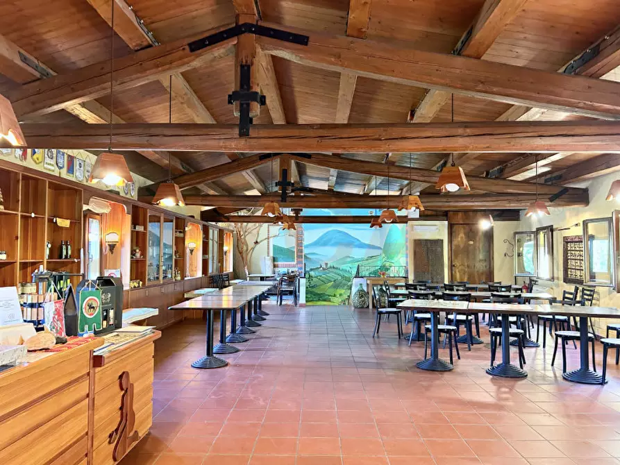 Immagine 4 di Agriturismo in vendita  a Cinto Euganeo