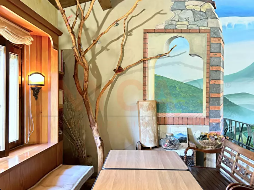 Immagine 7 di Agriturismo in vendita  a Cinto Euganeo