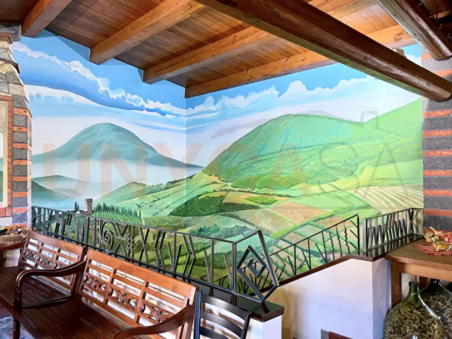 Immagine 8 di Agriturismo in vendita  a Cinto Euganeo