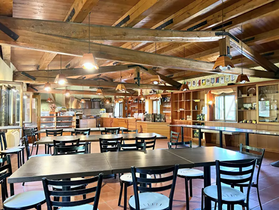 Immagine 9 di Agriturismo in vendita  a Cinto Euganeo