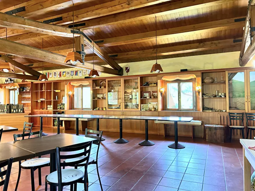 Immagine 10 di Agriturismo in vendita  a Cinto Euganeo