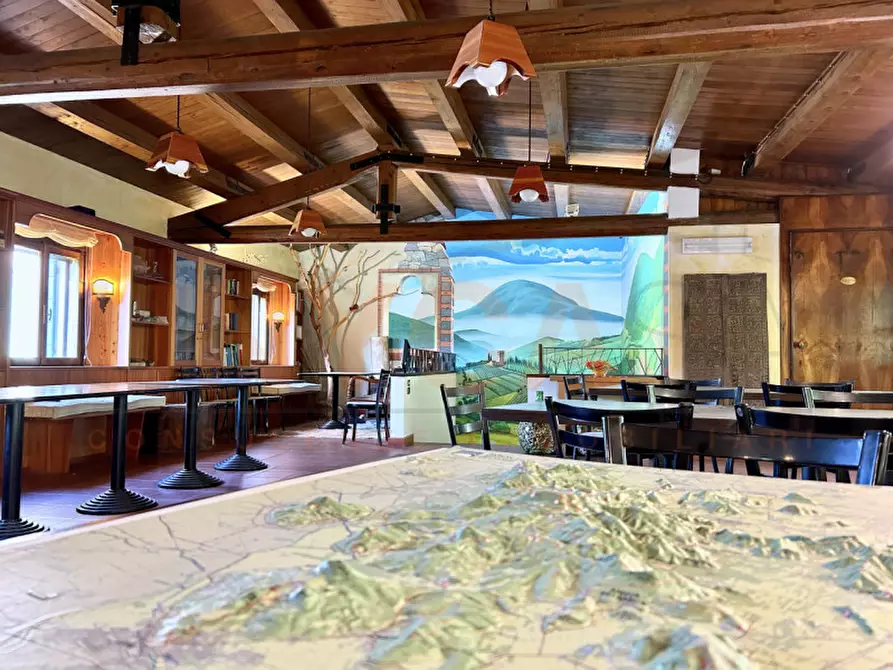 Immagine 13 di Agriturismo in vendita  a Cinto Euganeo