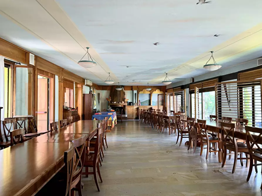 Immagine 14 di Agriturismo in vendita  a Cinto Euganeo