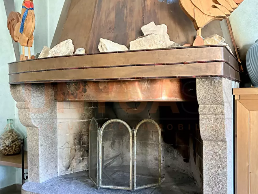 Immagine 16 di Agriturismo in vendita  a Cinto Euganeo