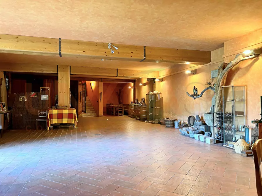 Immagine 18 di Agriturismo in vendita  a Cinto Euganeo