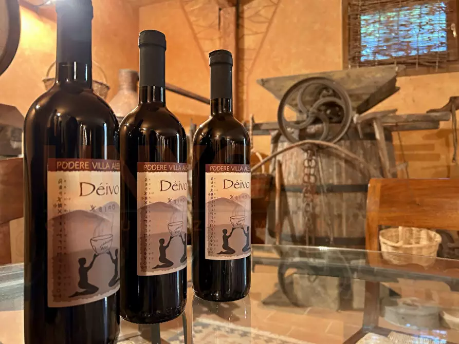 Immagine 19 di Agriturismo in vendita  a Cinto Euganeo