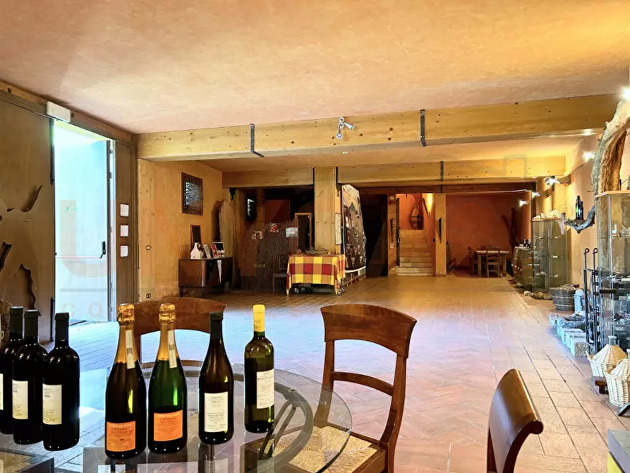 Immagine 20 di Agriturismo in vendita  a Cinto Euganeo