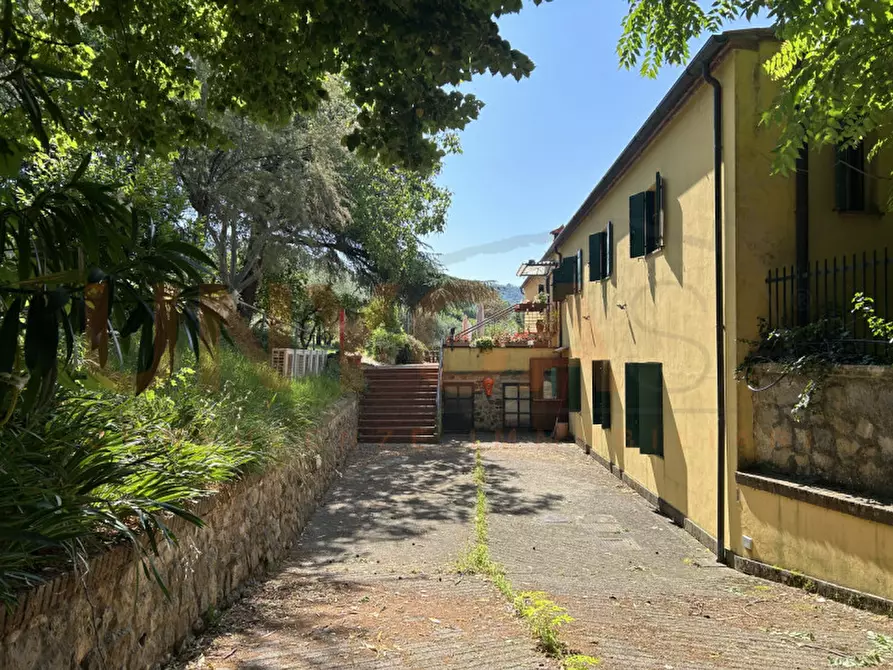 Immagine 22 di Agriturismo in vendita  a Cinto Euganeo