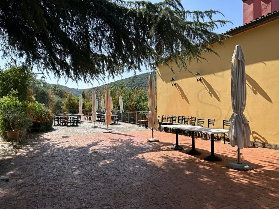 Immagine 23 di Agriturismo in vendita  a Cinto Euganeo