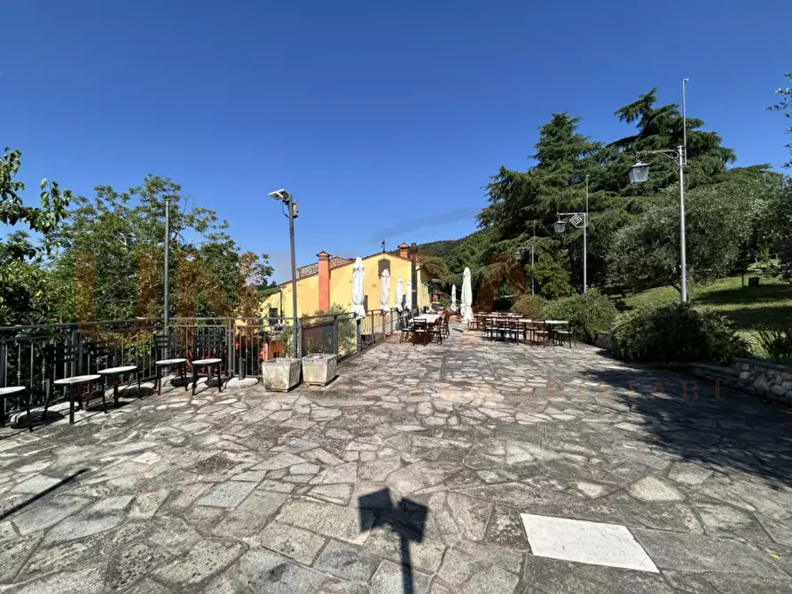 Immagine 24 di Agriturismo in vendita  a Cinto Euganeo