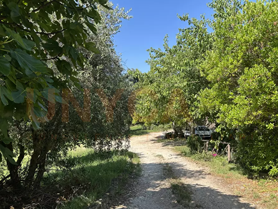 Immagine 26 di Agriturismo in vendita  a Cinto Euganeo