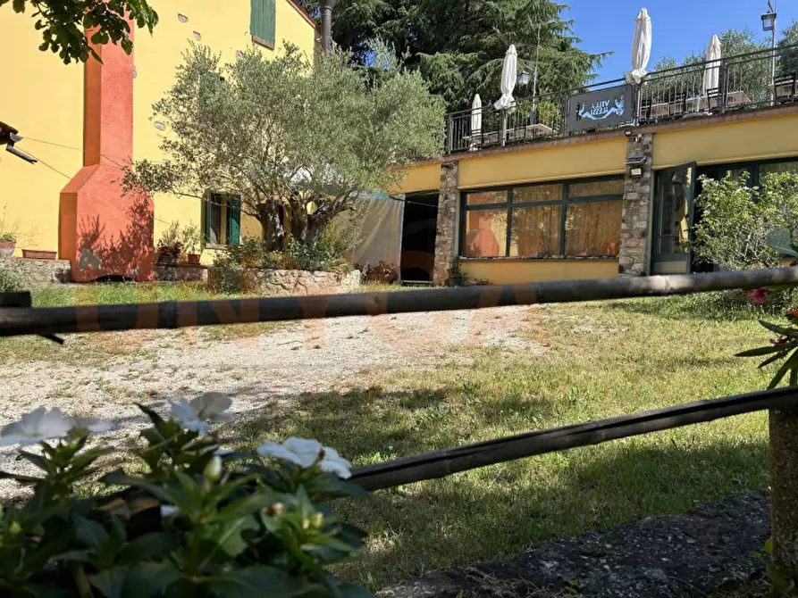 Immagine 29 di Agriturismo in vendita  a Cinto Euganeo