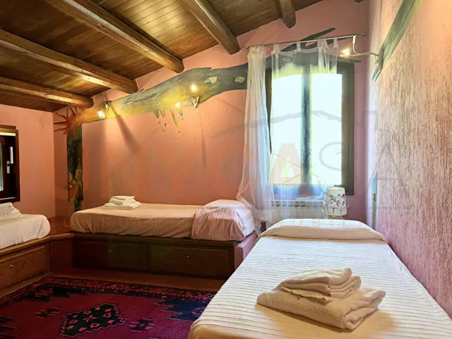 Immagine 34 di Agriturismo in vendita  a Cinto Euganeo