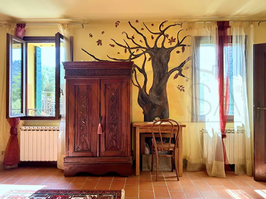 Immagine 42 di Agriturismo in vendita  a Cinto Euganeo