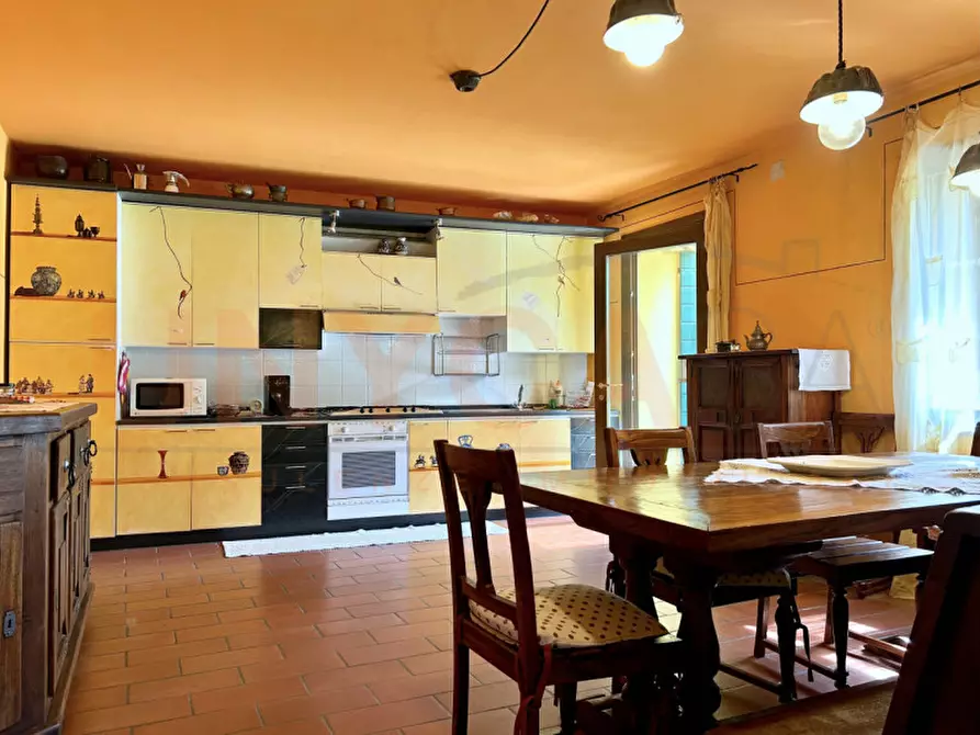 Immagine 47 di Agriturismo in vendita  a Cinto Euganeo