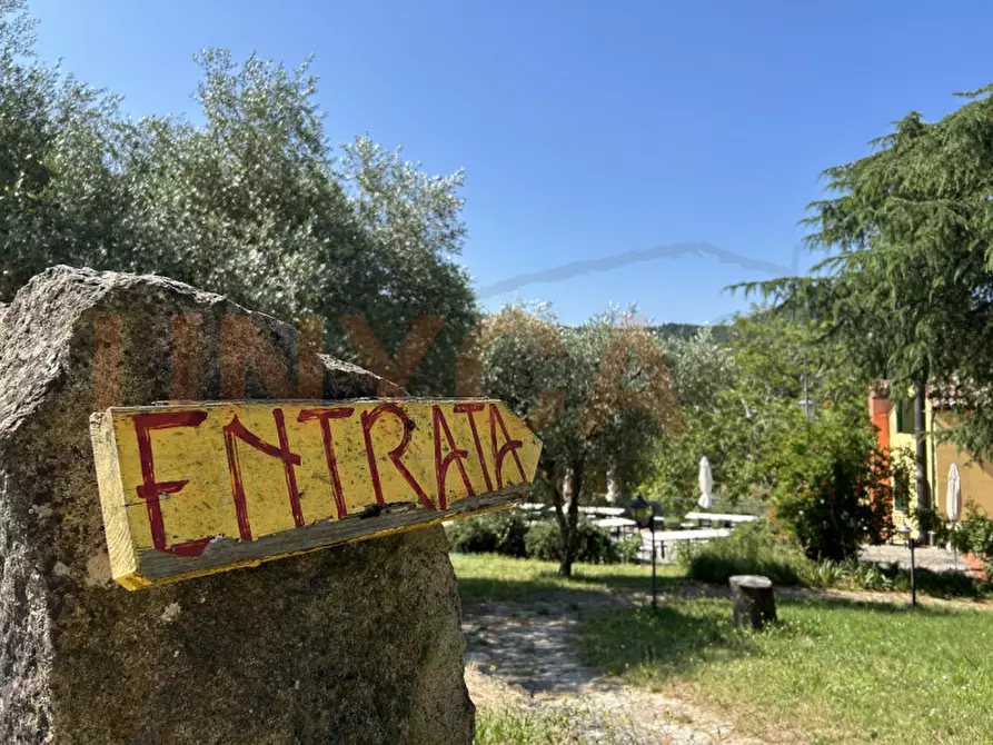 Immagine 49 di Agriturismo in vendita  a Cinto Euganeo