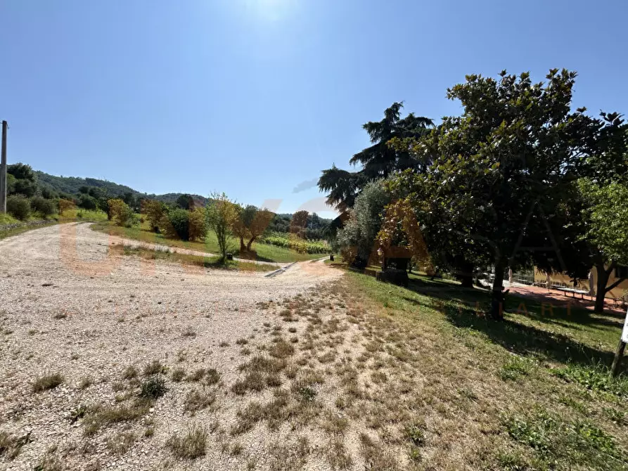 Immagine 50 di Agriturismo in vendita  a Cinto Euganeo