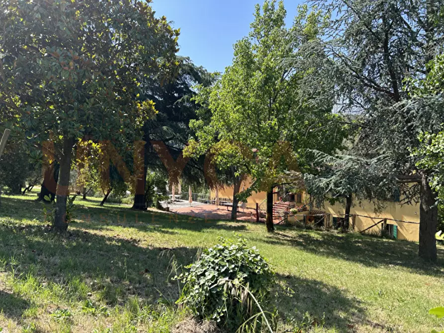 Immagine 51 di Agriturismo in vendita  a Cinto Euganeo