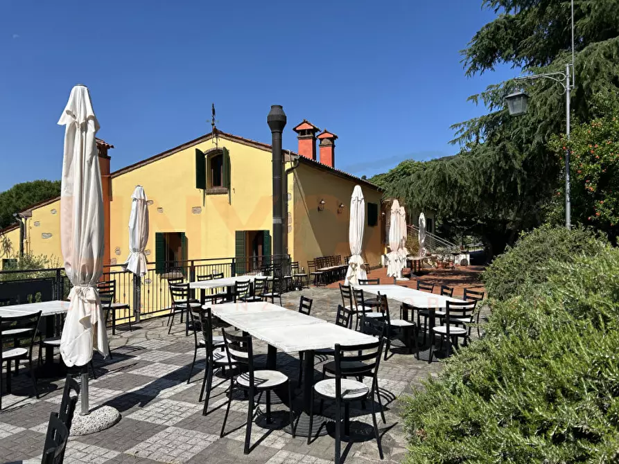 Immagine 52 di Agriturismo in vendita  a Cinto Euganeo