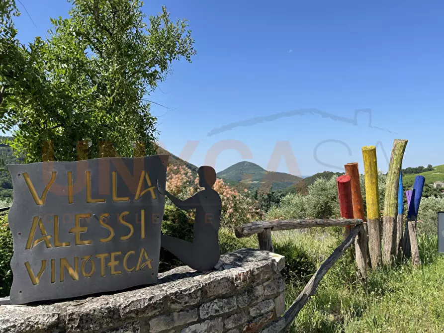 Immagine 53 di Agriturismo in vendita  a Cinto Euganeo