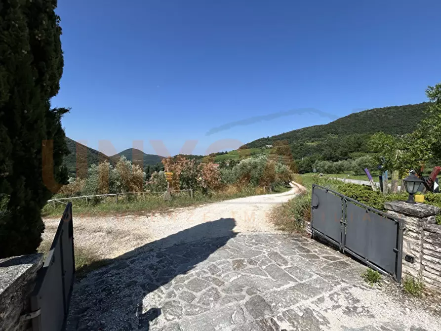 Immagine 54 di Agriturismo in vendita  a Cinto Euganeo