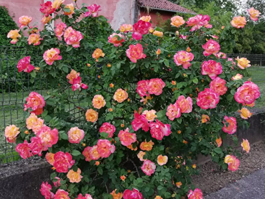 Immagine 5 di Casa bifamiliare in vendita  in Via Crosara, 2/E a Bolzano Vicentino