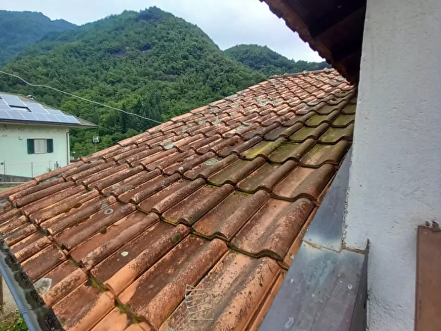 Immagine 13 di Casa indipendente in vendita  in località Cassottana a Favale Di Malvaro