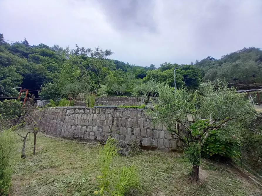 Immagine 29 di Casa indipendente in vendita  in località Cassottana a Favale Di Malvaro