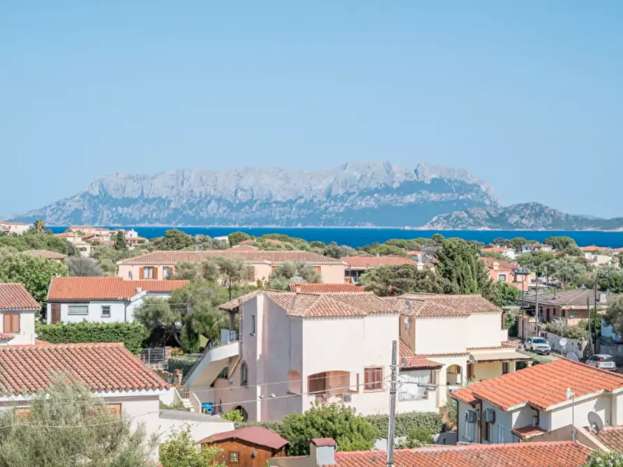 Immagine 1 di Appartamento in vendita  a Olbia