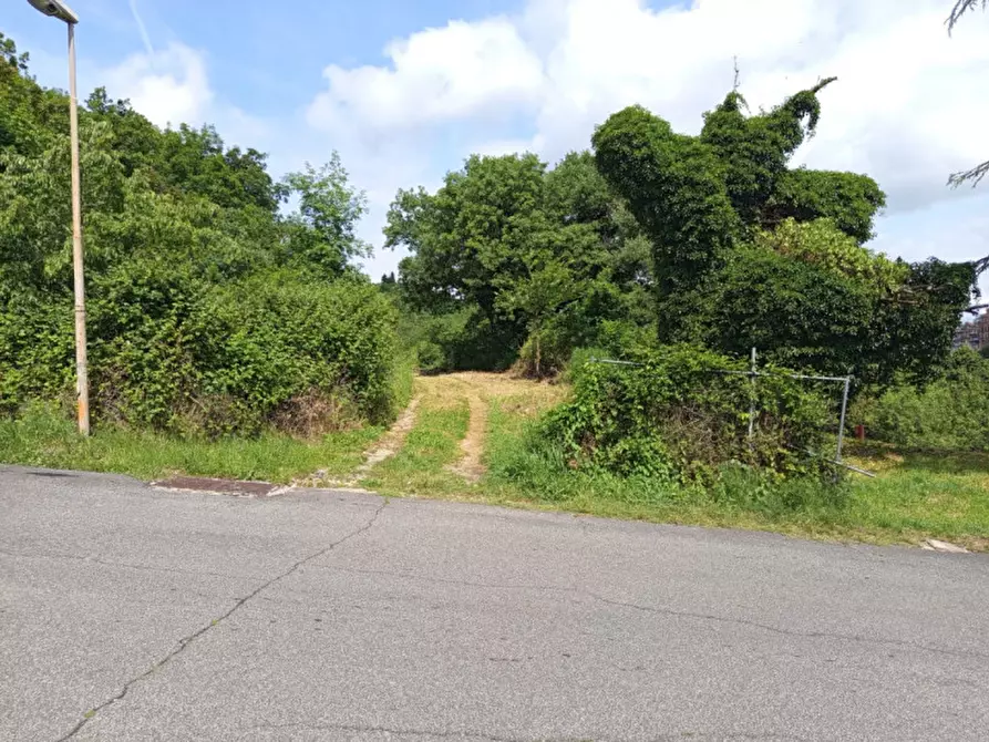 Immagine 4 di Terreno in vendita  a Montorio Romano