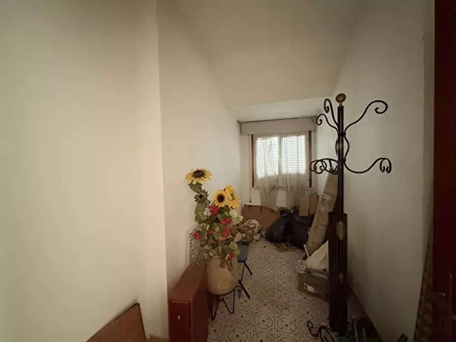 Immagine 13 di Casa indipendente in vendita  in Via Roma a Cinto Euganeo