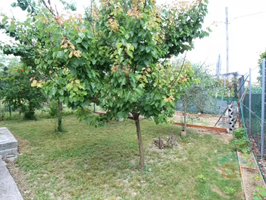 Immagine 9 di Villetta a schiera in vendita  in via IV novembre 29 a Bagnaria Arsa