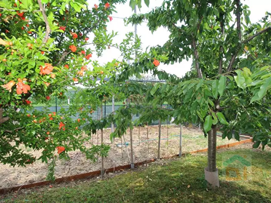 Immagine 10 di Villetta a schiera in vendita  in via IV novembre 29 a Bagnaria Arsa