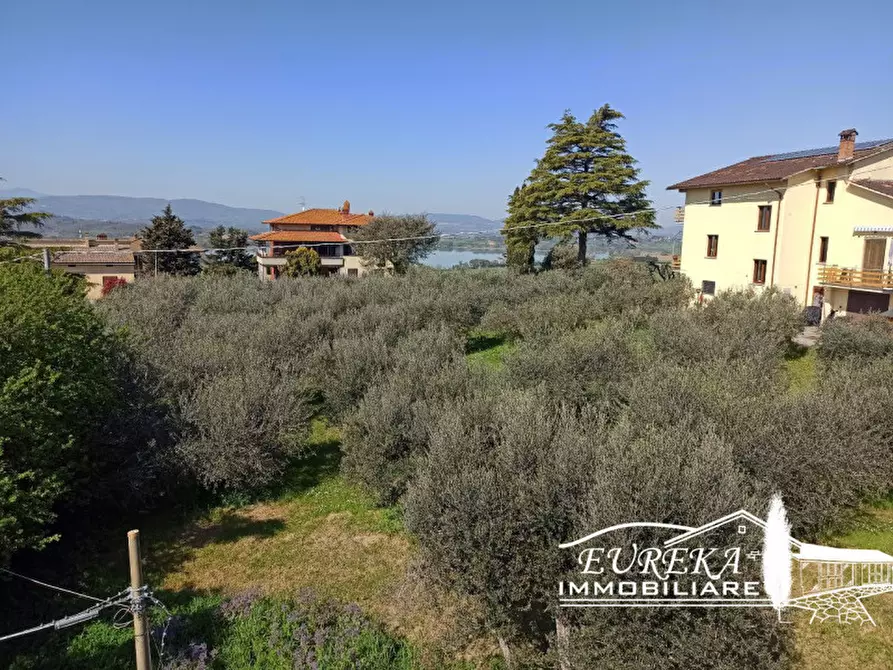 Immagine 6 di Appartamento in vendita  in strada vaiano a Castiglione Del Lago