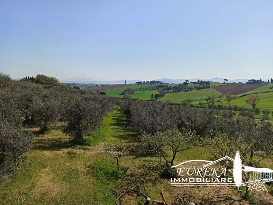 Immagine 29 di Appartamento in vendita  in strada vaiano a Castiglione Del Lago