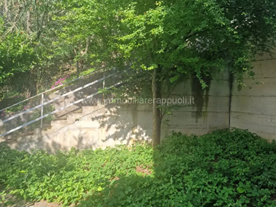 Immagine 24 di Villetta a schiera in vendita  a Sinalunga