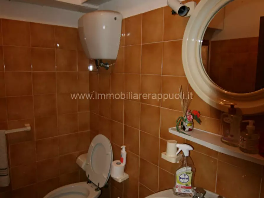 Immagine 16 di Casa indipendente in vendita  a Trequanda