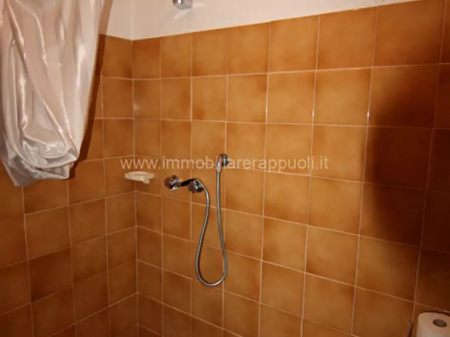 Immagine 17 di Casa indipendente in vendita  a Trequanda