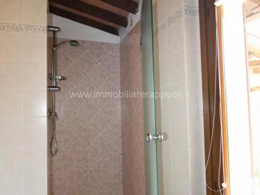 Immagine 25 di Casa indipendente in vendita  a Trequanda